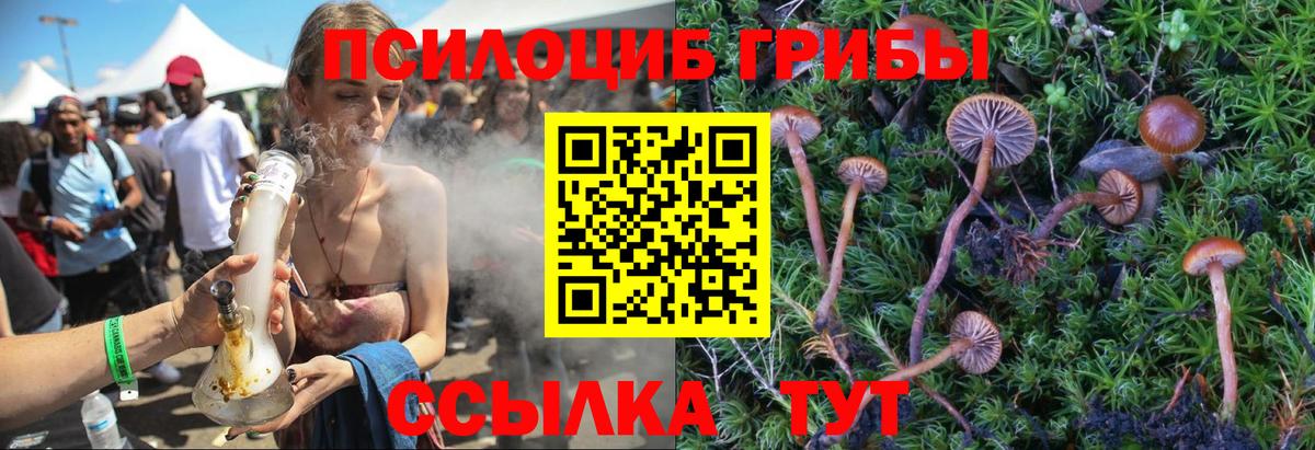 Псилоцибиновые грибы MAGIC MUSHROOMS Менделеевск