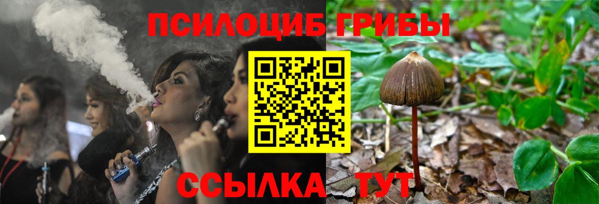 Менделеевск  Галлюциногенные грибы Psilocybine cubensis  Псилоцибиновые грибы ЛСД  Вход с VPN 